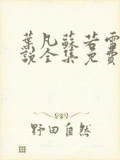 叶凡苏若雪的小说全集免费阅读