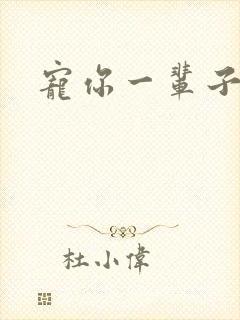 宠你一辈子封面