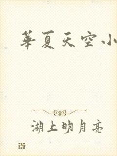 华夏天空小说网封面