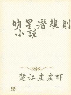 明星潜规则之皇 小说