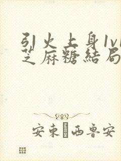 引火上身1v1芝麻糖结局封面