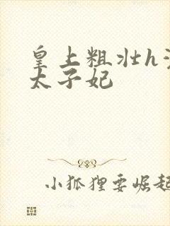 皇上粗壮h灌满太子妃封面