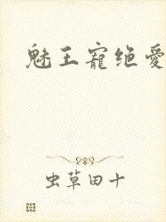 魅王宠绝爱娇妃