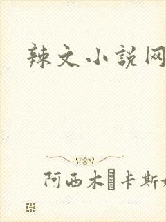 辣文小说网