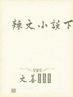 辣文小说下载封面