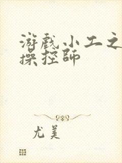 游戏小工之元素操控师封面