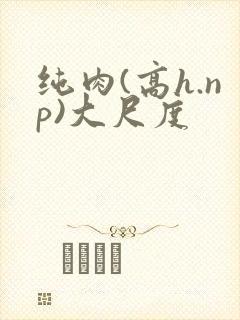纯肉(高h.np)大尺度