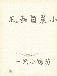 风和日丽小说