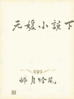 元媛小说下载封面