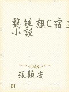 系统想C宿主的小说