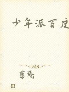 少年派百度百科封面