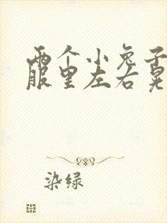 两个小兔子在衣服里左右晃