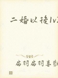 二婚以后1v2封面