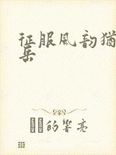 征服风韵犹存的岳封面