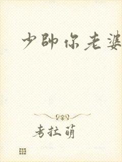 少帅你老婆