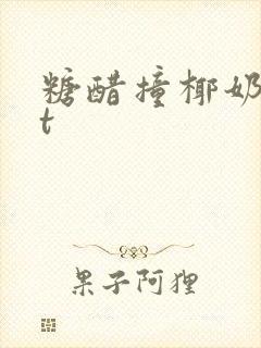 糖醋撞椰奶txt封面