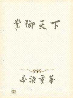 掌御天下封面