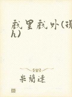 戏里戏外(现场h)