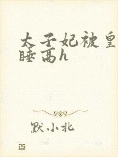 太子妃被皇上强睡高h封面