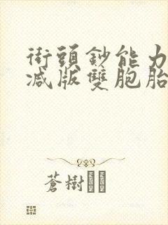 街头钞能力无删减版双胞胎