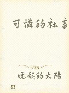 可怜的社畜分手