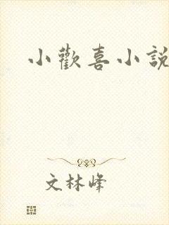 小欢喜小说