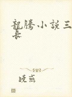 龙腾小说三宝局长
