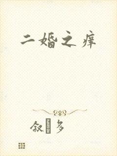 二婚之痒封面