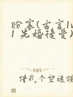 盼寡(古言1v1 先婚后爱)荔枝好多封面