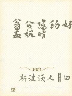 翁公您的好长呀孟婉晴封面