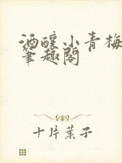 酒酿小青梅po笔趣阁