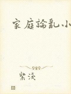 家庭论乱小说封面