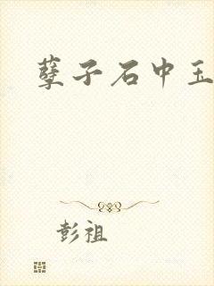 孽子石中玉封面