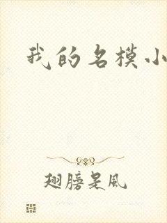 我的名模小娇妻