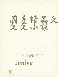 国产精品久久久久久小说