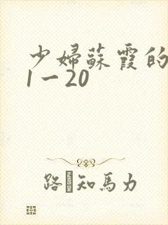 少妇苏霞的沉沦1一20