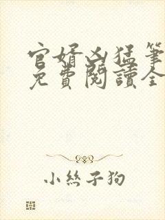 官婿凶猛笔趣阁免费阅读全文