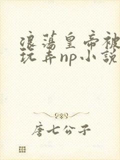 浪荡皇帝被多人玩弄np小说