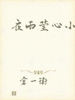 夜雨莹心小说封面