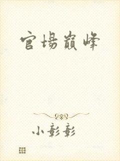 官场巅峰