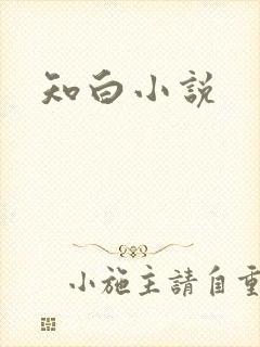 知白小说