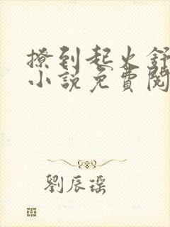 撩到起火舒漾的小说免费阅读全文封面