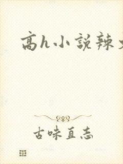 高h小说辣文