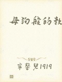 母狗般的教师封面