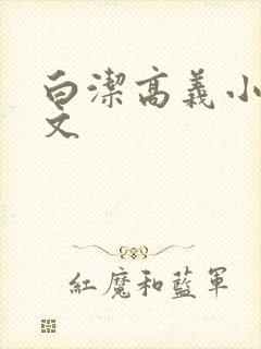 白洁高义小说全文