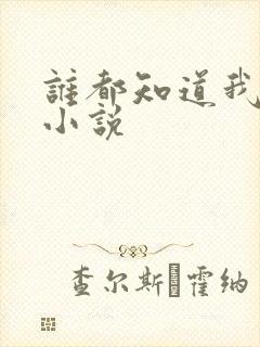 谁都知道我爱你小说