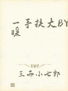 一手扶大BY泱暖封面
