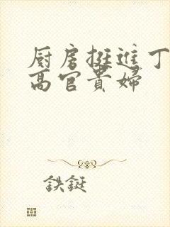 厨房挺进丁字裤高官贵妇