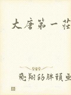 大唐第一庄封面