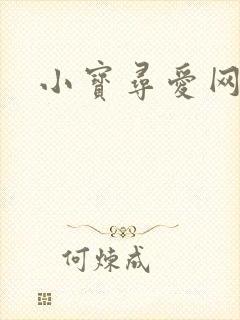 小宝寻爱网